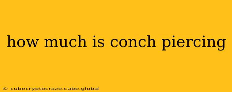 how much is conch piercing