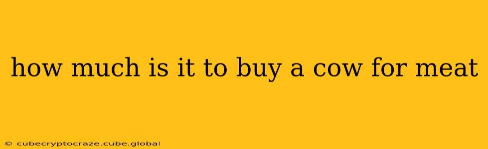 how much is it to buy a cow for meat