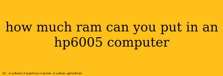 how much ram can you put in an hp6005 computer