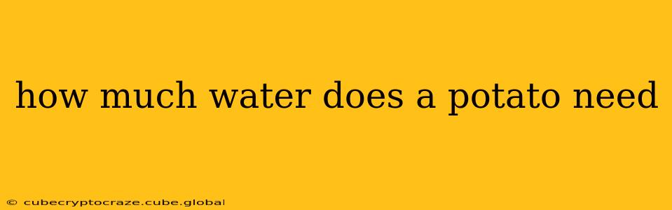 how much water does a potato need