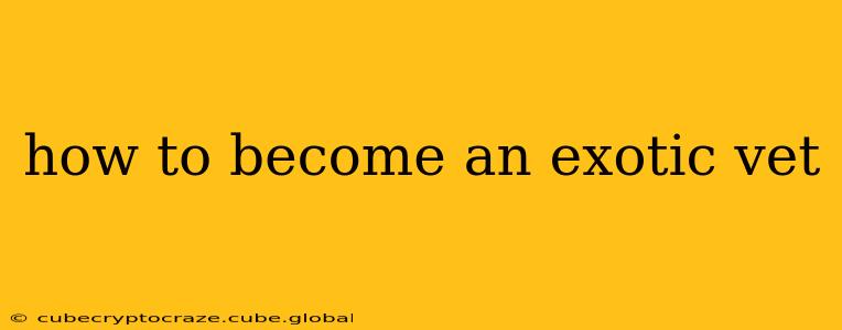 how to become an exotic vet