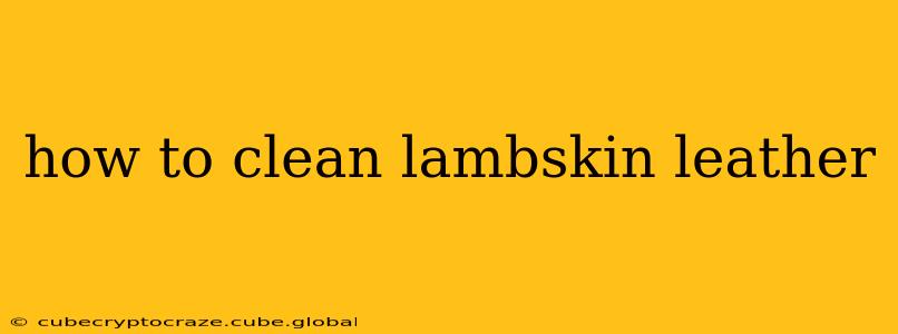 how to clean lambskin leather