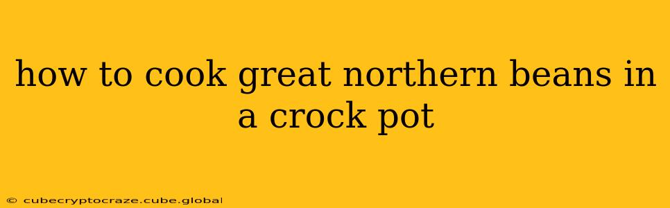 how to cook great northern beans in a crock pot