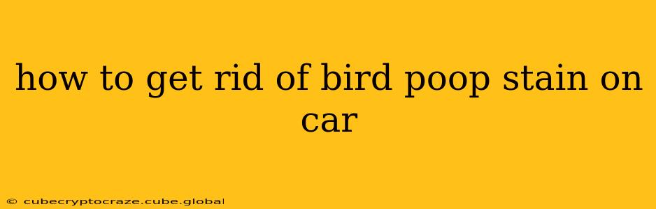 how to get rid of bird poop stain on car