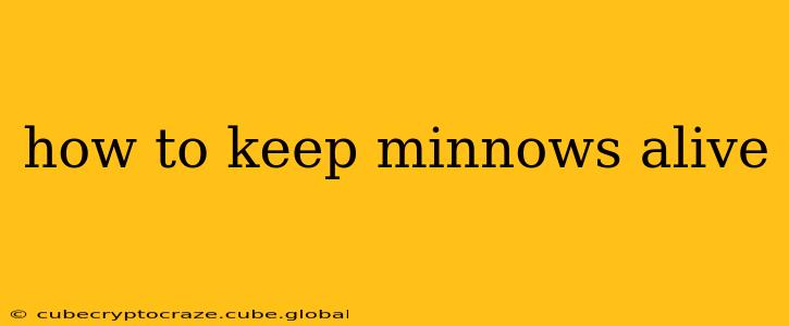 how to keep minnows alive