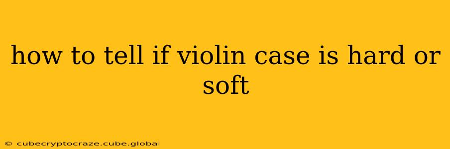 how to tell if violin case is hard or soft