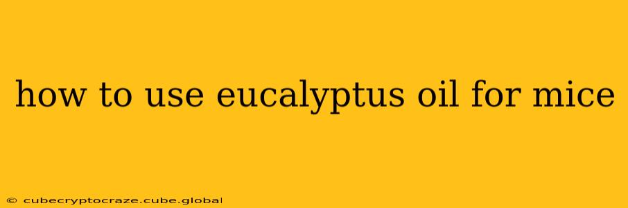 how to use eucalyptus oil for mice