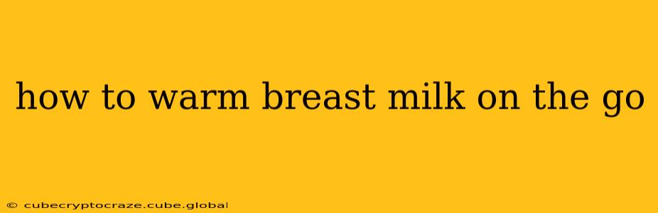 how to warm breast milk on the go