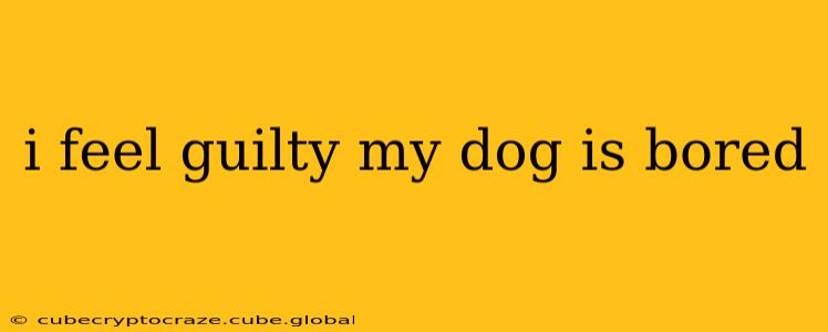i feel guilty my dog is bored