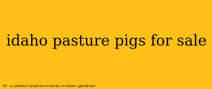idaho pasture pigs for sale