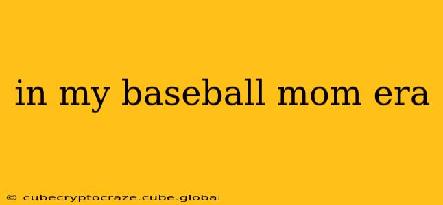 in my baseball mom era