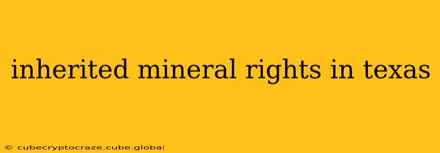 inherited mineral rights in texas
