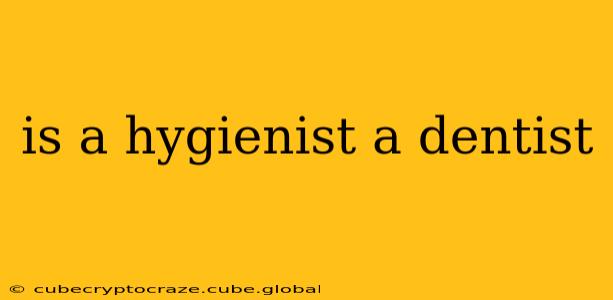 is a hygienist a dentist