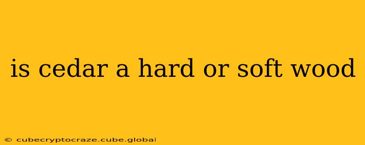 is cedar a hard or soft wood