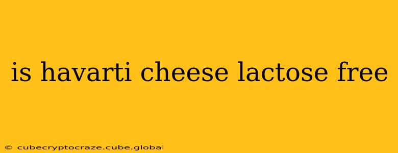 is havarti cheese lactose free
