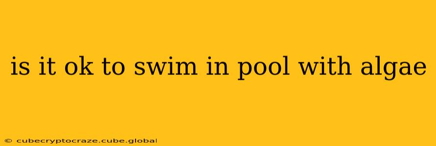 is it ok to swim in pool with algae