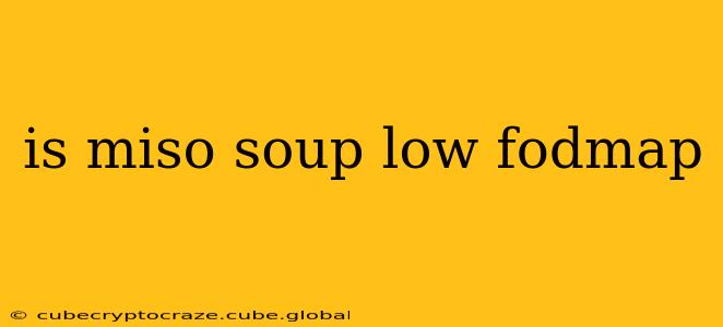 is miso soup low fodmap