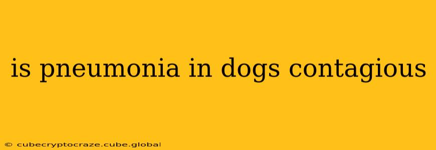 is pneumonia in dogs contagious