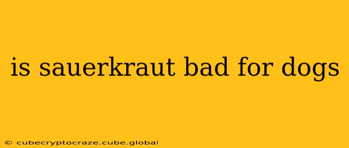 is sauerkraut bad for dogs