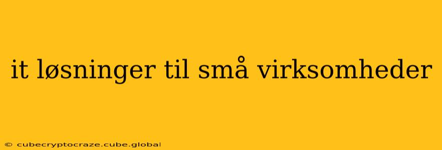 it løsninger til små virksomheder