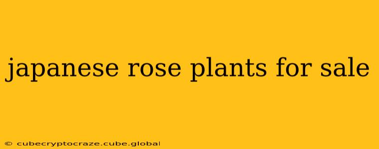 japanese rose plants for sale