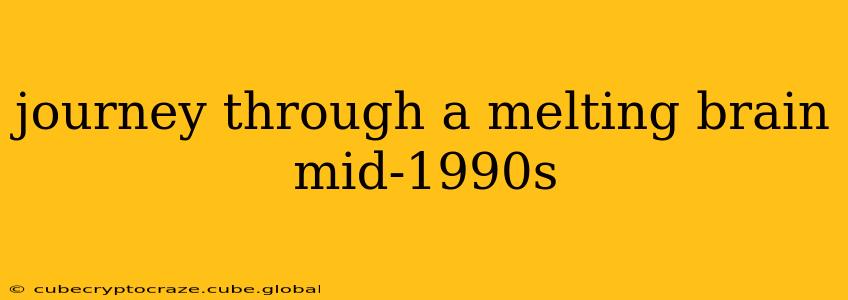 journey through a melting brain mid-1990s