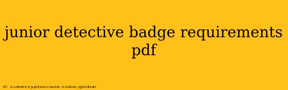 junior detective badge requirements pdf