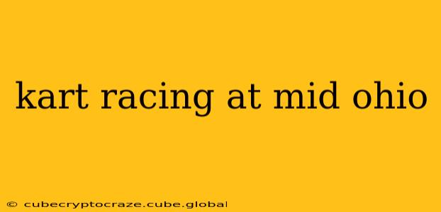 kart racing at mid ohio