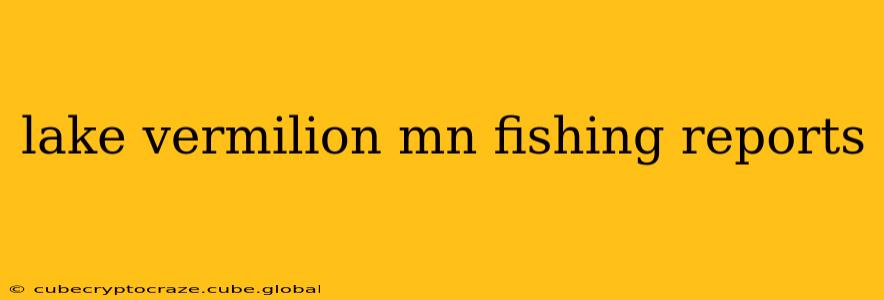 lake vermilion mn fishing reports