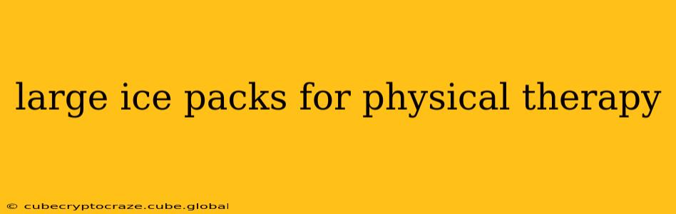 large ice packs for physical therapy
