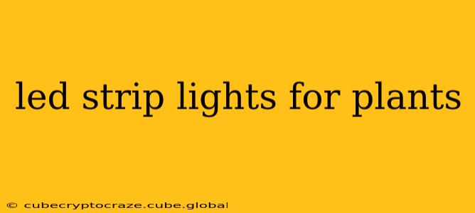 led strip lights for plants