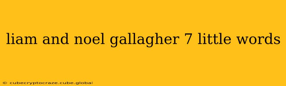liam and noel gallagher 7 little words