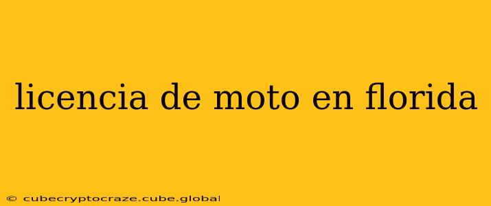 licencia de moto en florida