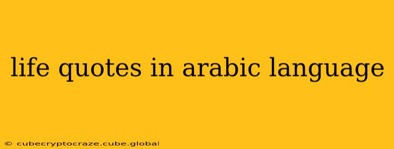 life quotes in arabic language