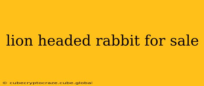 lion headed rabbit for sale