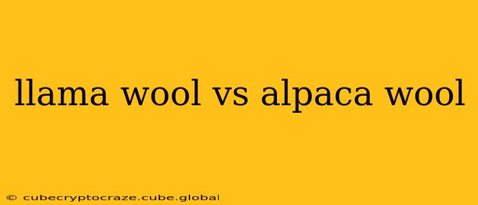 llama wool vs alpaca wool