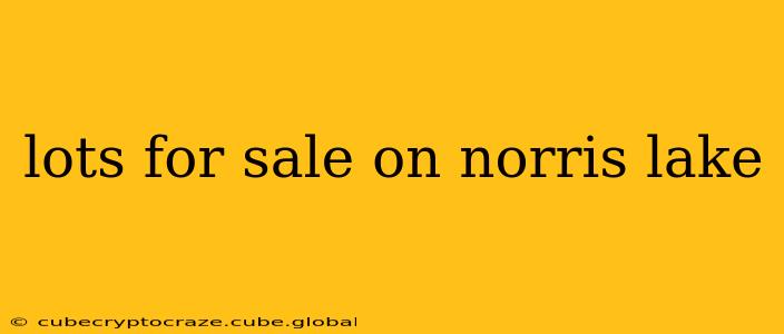 lots for sale on norris lake