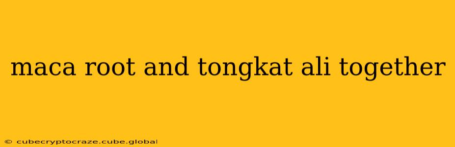 maca root and tongkat ali together