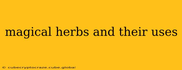 magical herbs and their uses