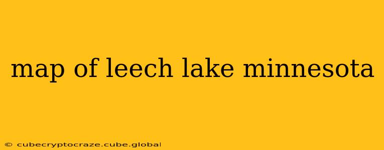 map of leech lake minnesota
