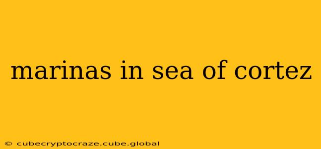 marinas in sea of cortez