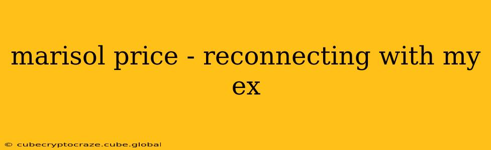 marisol price - reconnecting with my ex