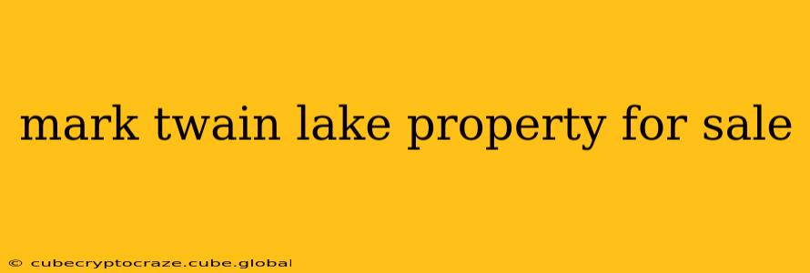 mark twain lake property for sale
