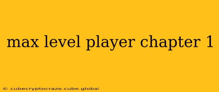 max level player chapter 1