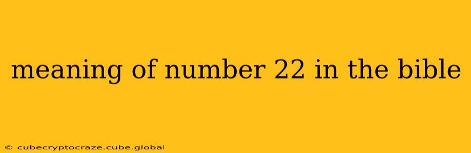 meaning of number 22 in the bible