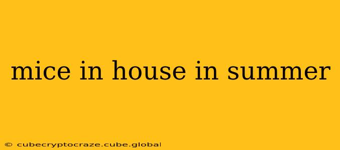 mice in house in summer