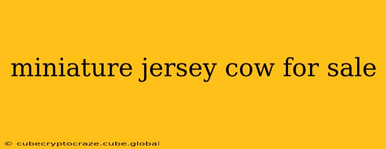 miniature jersey cow for sale