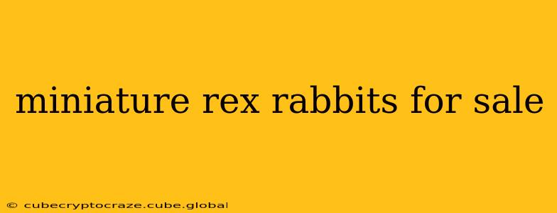 miniature rex rabbits for sale