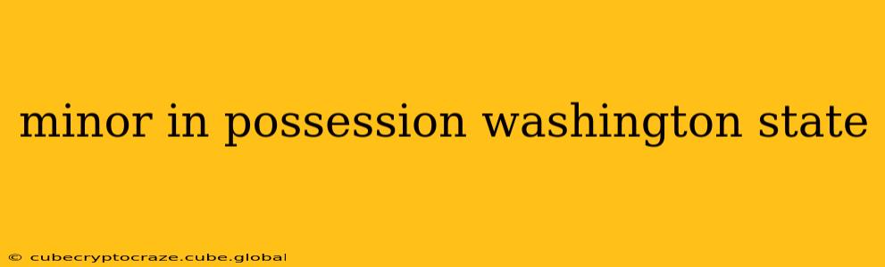 minor in possession washington state
