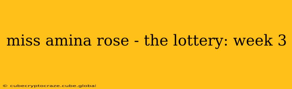 miss amina rose - the lottery: week 3